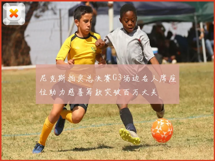 尼克斯拍卖总决赛G3场边名人席座位助力慈善筹款突破百万大关